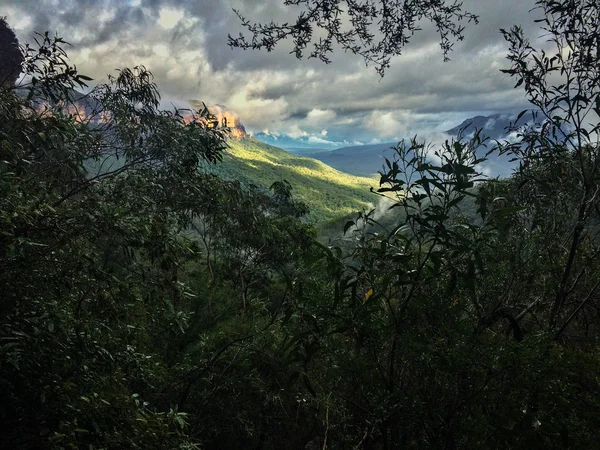 Blue mountains, Sydney (Avustralya) sis ile yakın bakış açısı
