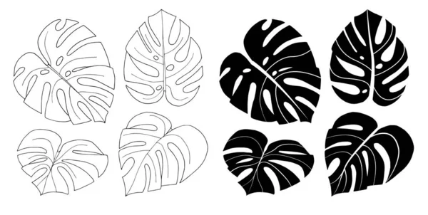 Set van vector Monstera bladeren geïsoleerd op witte achtergrond. Exotische tropische planten. Ontwerpelement voor kaart, afdrukken, behang, plant Shop, reisbureau. Contour en silhouet. Zwart-wit — Stockvector