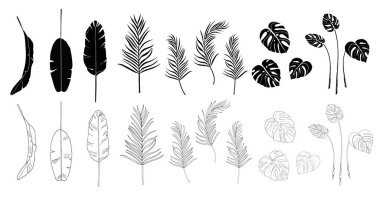 Vektör muz, monstera, palmiye beyaz arka plan üzerinde izole yaprakları kümesi. Egzotik tropik bitkiler. Kart, baskı, duvar kağıdı, fabrika dükkanı, seyahat acentesi için kullanılır. Kontur ve siluet. Siyah beyaz