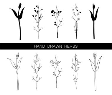 Vektör el beyaz izole otlar çizilmiş ayarlayın. Kontur ve siluet. Siyah ve beyaz. Kartlar, davetiyeler, güzellik salonu, çay ocağı, eczane, ilaç ve güzellik ürünleri reklam için Dekorasyon