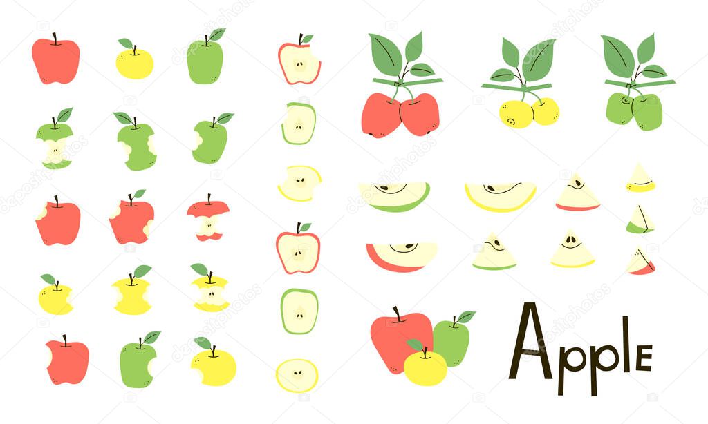Apple Whole Cut Bitten Apple Core Apple Half And Slices Apple Tree Branches With Leaves Set Of Vector Objects In Red Yellow Green Colors Isolated On White Positive Flat Design Cartoon