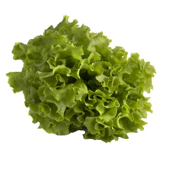 Соковитий Зелений Салат Білому Тлі Поняття Вегетаріанства — стокове фото