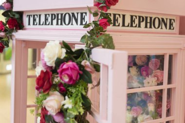 Hangi gül büyümeye Londra geleneksel telefon kulübesi