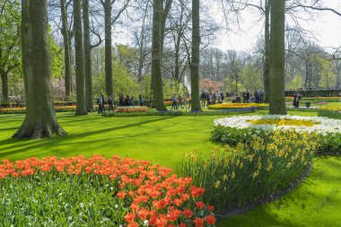 Keukenhof Park, Hollanda-16 Nisan 2019: Turistler Hollanda'nın Keukenhof park Çiçeği'nde yürüyüş ve çiçek resimleri çekiyor