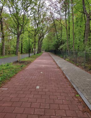 Bisikletçiler için Avrupa bisiklet yolları. Bisiklet gezileri