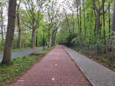 Par arabalar için yol boyunca Bisiklet şeridi