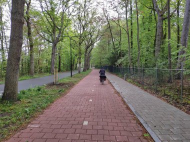 Hollanda'da bisiklet yolu. Arka planda bir bisikletçi pedallar. Bisiklet turizmi