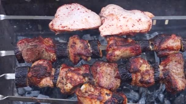 Shish Kebab Sertés Csirke Hús Darabok Sült Szén Grill Grillezett — Stock videók