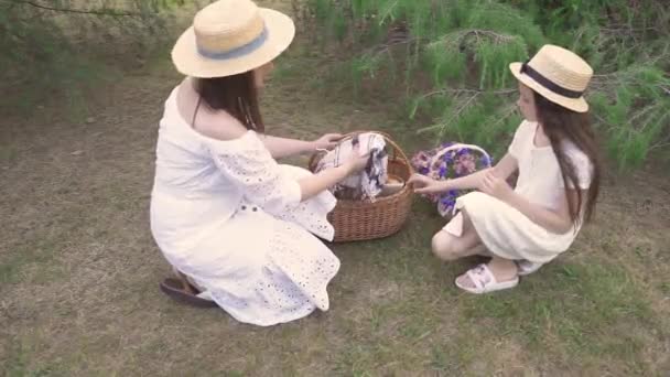 Mutter Und Tochter Bei Einem Picknick Stadtgarten Sie Legen Dinge — Stockvideo