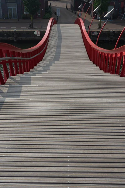 Pont Python à Amsterdam, Pays-Bas — Photo