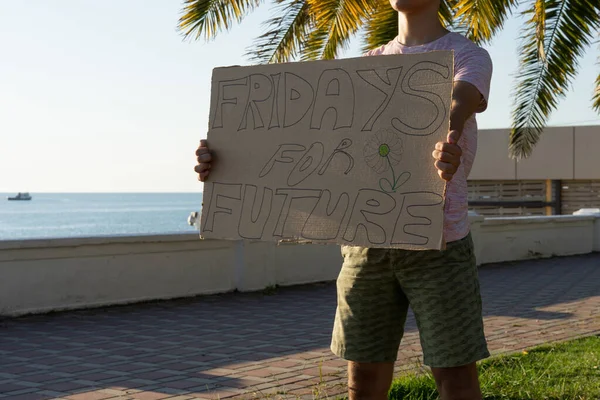 Piquete único contra as alterações climáticas - Juventude para o Futuro . — Fotografia de Stock