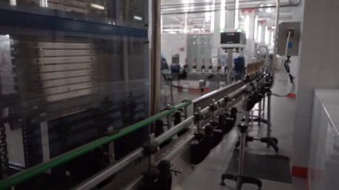 Şampanya ya da konveyör şeridinde köpüklü şarap şişeleri. Şaraphane