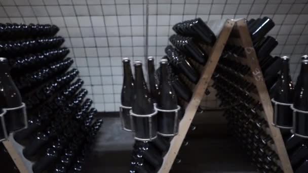 Cave Vins Mousseux Vue Des Bouteilles Sur Convoyeur Mouvement — Video