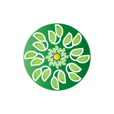Yeşil vektör simgesi. yaprak mandala. Eko kavramı.