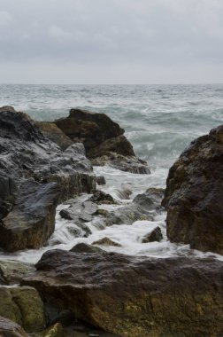 Tayrona Ulusal Parkı, Kolombiya 'da Rocky plajı manzarası