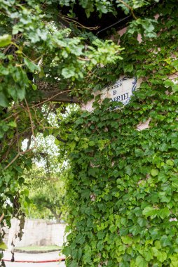 Colonia del Sacramento / Uruguay; 2 Ocak 2019: Asmalarla çevrili Paseo de San Gabriel (Saint Gabriel nehir kenarı yürüyüşü) plaketi. Şehrin tarihi merkezi..