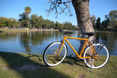 Buenos Aires, Arjantin 'deki Bosques de Palermo olarak bilinen büyük halk parkında bir gölün yanında turuncu bisiklet.