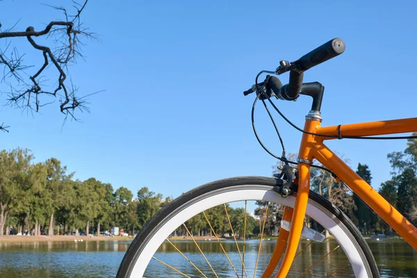 Помаранчевий Велосипед Краю Озера Великому Громадському Парку Боскес Палермо Буенос — стокове фото