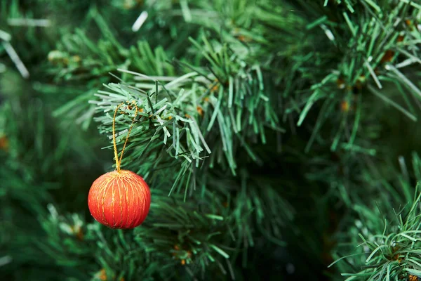 Red Golden Beautiful Bauble Hanging Christmas Tree Copy Space Stock Image