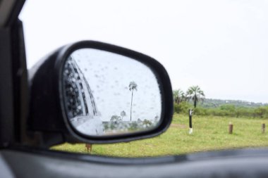 Dikiz aynası, palmiyeli doğal bir sahneyi yansıtıyor, Butia yatay palmiyesi. El Palmar Ulusal Parkı, Entre Rios, Arjantin.