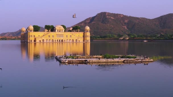 Джал Махал Дворец Водных Ресурсов Джайпур Раджастан Индия — стоковое видео