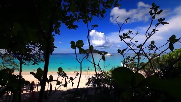 Tropisch Eiland Strand Thailand Rechtenvrije Stockvideo