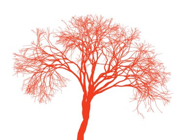 Naked tree silhouette on white background. Fine detailed realistic illustration. Isolated design element. Leafless winter tree. clipart