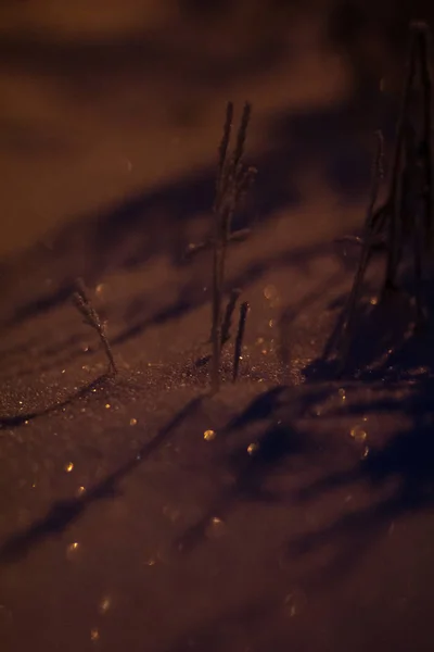 Bir Fener Işığı Altında Donmuş — Stok fotoğraf