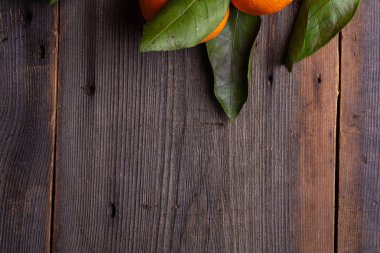 mandalina çam kurullarında yaprakları ile