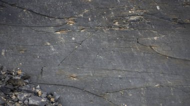 Kayanın katmanlı yüzeyi