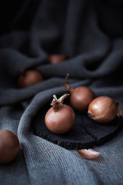 Bir gövde dilimi üzerinde soğan soğan, dağınık soğan soğan ve ay ışığında çuval bezi arka plan üzerinde kabuk bir parça. Düşük tuş görüntüsü, dikey yönlendirme, kopyalama alanı