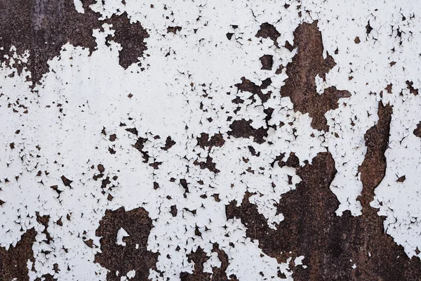 Old Metal Rusted Wall Covered Partly Peeled White Paint Grunge — Stock Photo, Image