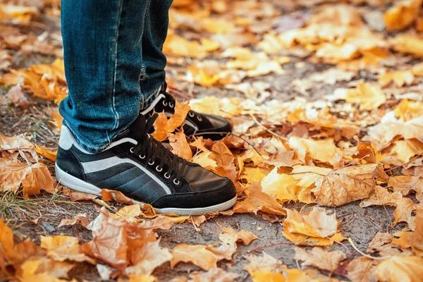 Male feet in sneakers standing on the ground covered with fallen yellow leaves. Autumn arrival concept, close-up, copy space