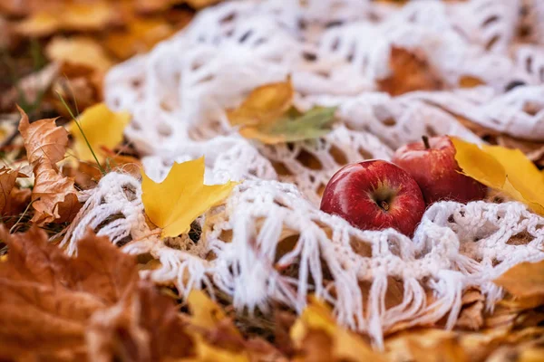 Twee Rijpe Rode Appels Liggen Een Witte Gebreide Omslagdoek Grond — Stockfoto