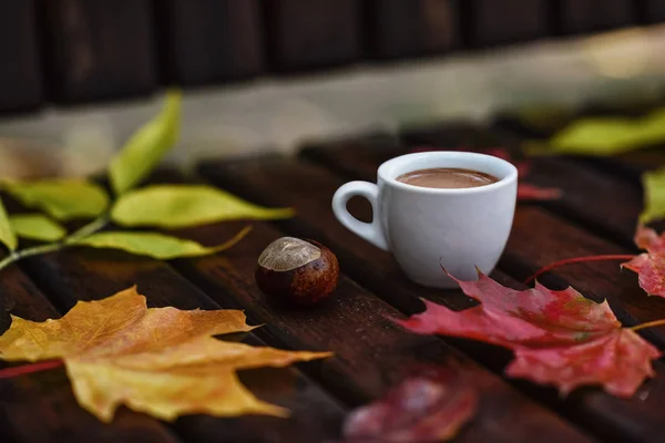 Tazza Caffè Con Schiuma Panca Legno Bagnato Tra Foglie Secche — Foto Stock