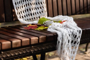 Sonbaharda Köpüklü küçük bir fincan kahve, beyaz örme şal, kuru renkli düşmüş yapraklar ve sonbaharda ıslak ahşap bankta kestane