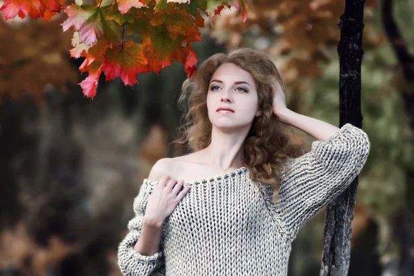 在秋天公园里 在五颜六色的绿色和红色的枫树旁边 一个美丽的女孩穿着针织毛衣 长着金发 秋天的风景 — 图库照片