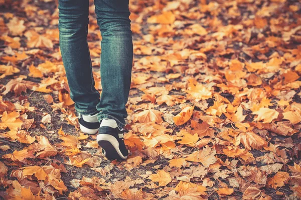穿着牛仔裤和运动鞋的男腿在满是落叶的地上走到远处 秋天的到来概念 复制空间 — 图库照片