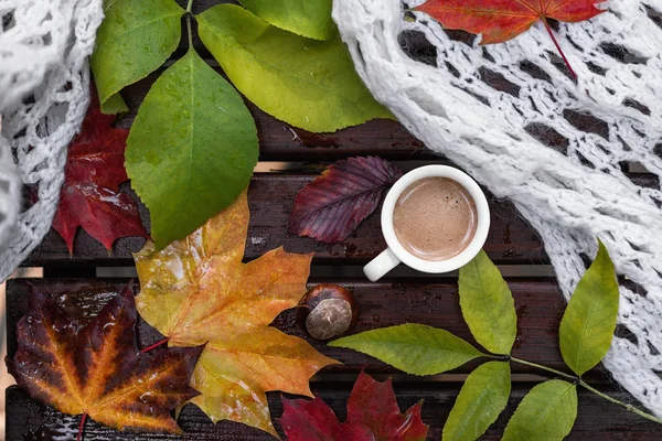 stock image Ceramic cup of coffee with foam, white knitted shawl, dry colorful fallen leaves and chestnut on wet wooden bench with raindrops in autumn. Flat lay, top view