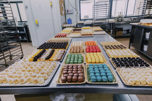 Muchos Platos Diferentes Preparados Mesa Metal Una Fábrica Alimentos — Foto de Stock