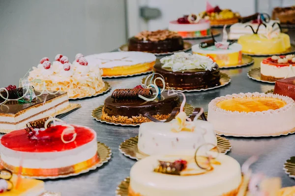 Muchos Pasteles Diferentes Preparados Mesa Metal Una Fábrica Alimentos — Foto de Stock