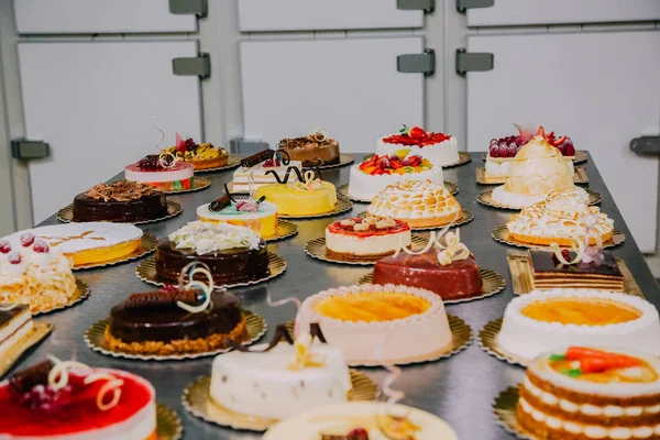 Muchos Pasteles Diferentes Preparados Mesa Metal Una Fábrica Alimentos — Foto de Stock