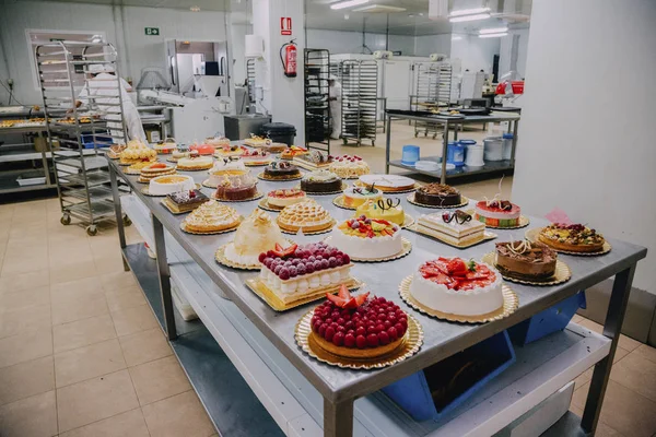 Muchos Pasteles Diferentes Preparados Mesa Metal Una Fábrica Alimentos — Foto de Stock