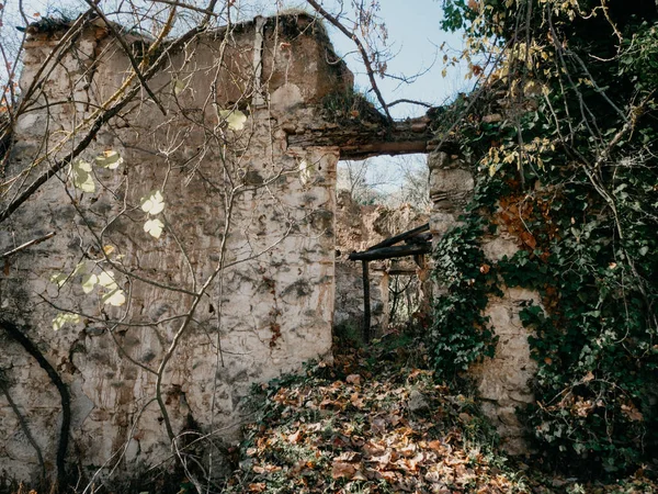 Casa Abbandonata Campagna Circondata Viti — Foto Stock