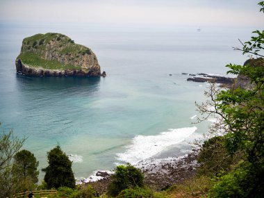 yeşillikler ile çevrili sakin bir plaj