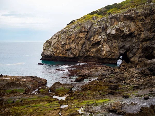 Kayalık plaj ve yeşil çim ile kayalıklar — Stok fotoğraf