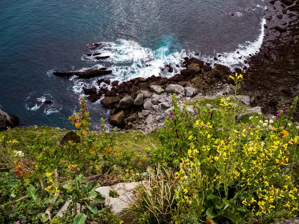 Penhasco de rochas com grama verde e flores na primavera — Fotografia de Stock