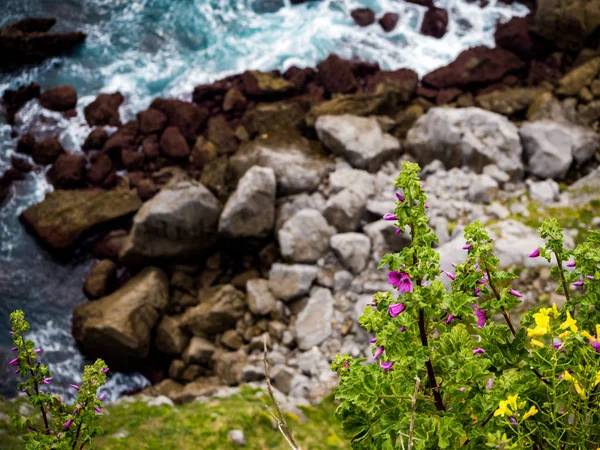 Klippa av klippor med grönt gräs och blommor på våren — Stockfoto