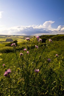 Görünüm Apulia kırsal çevre, sezon bahar, İtalya