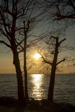 Günbatımı ağaç Lake Garda, İtalya 